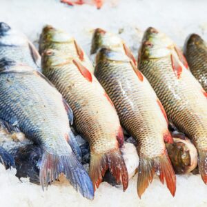 Poisson capitaine